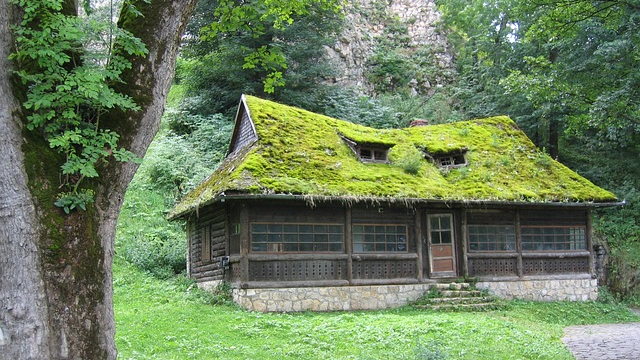 Maison au milieu des bois