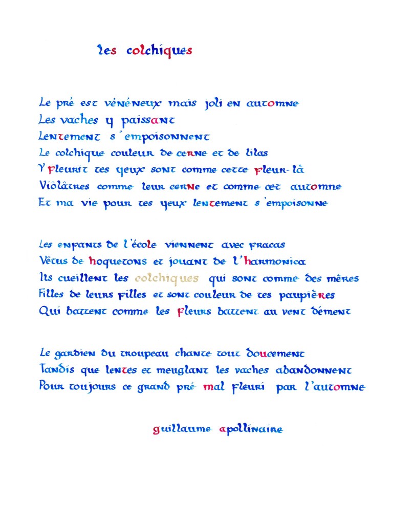 Poème Colchiques de Guillaume Apollinaire
